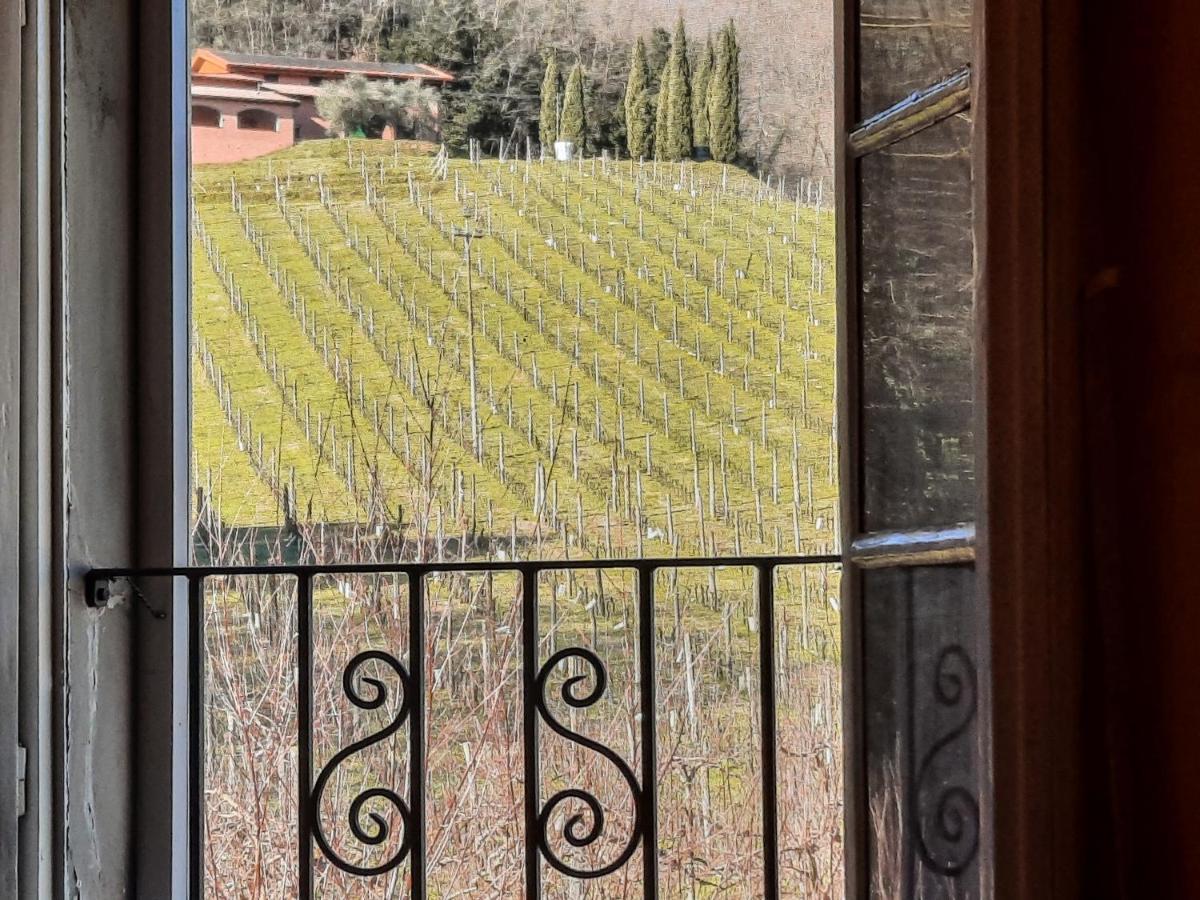 Agriturismo Tenuta Adamo Lucca Buitenkant foto